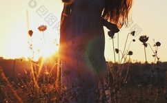 网站你懂得老司机2017